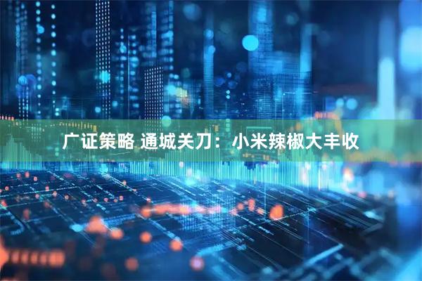 广证策略 通城关刀：小米辣椒大丰收