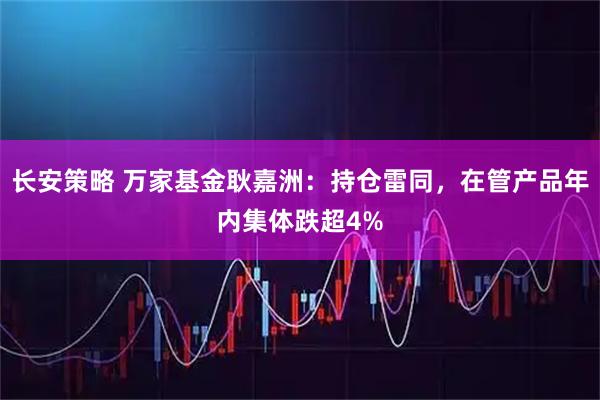 长安策略 万家基金耿嘉洲：持仓雷同，在管产品年内集体跌超4%