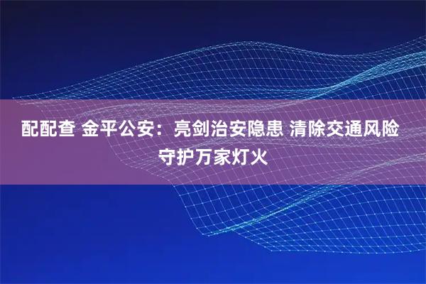 配配查 金平公安：亮剑治安隐患 清除交通风险 守护万家灯火