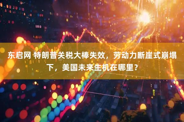 东启网 特朗普关税大棒失效，劳动力断崖式崩塌下，美国未来生机在哪里？