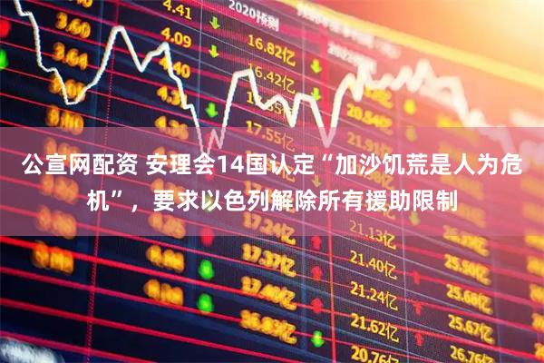 公宣网配资 安理会14国认定“加沙饥荒是人为危机”，要求以色列解除所有援助限制