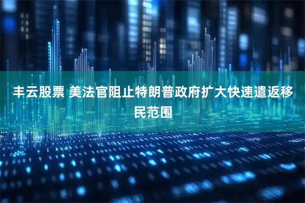 丰云股票 美法官阻止特朗普政府扩大快速遣返移民范围